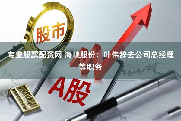 专业股票配资网 海峡股份：叶伟辞去公司总经理等职务