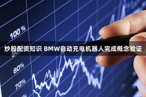炒股配资知识 BMW自动充电机器人完成概念验证